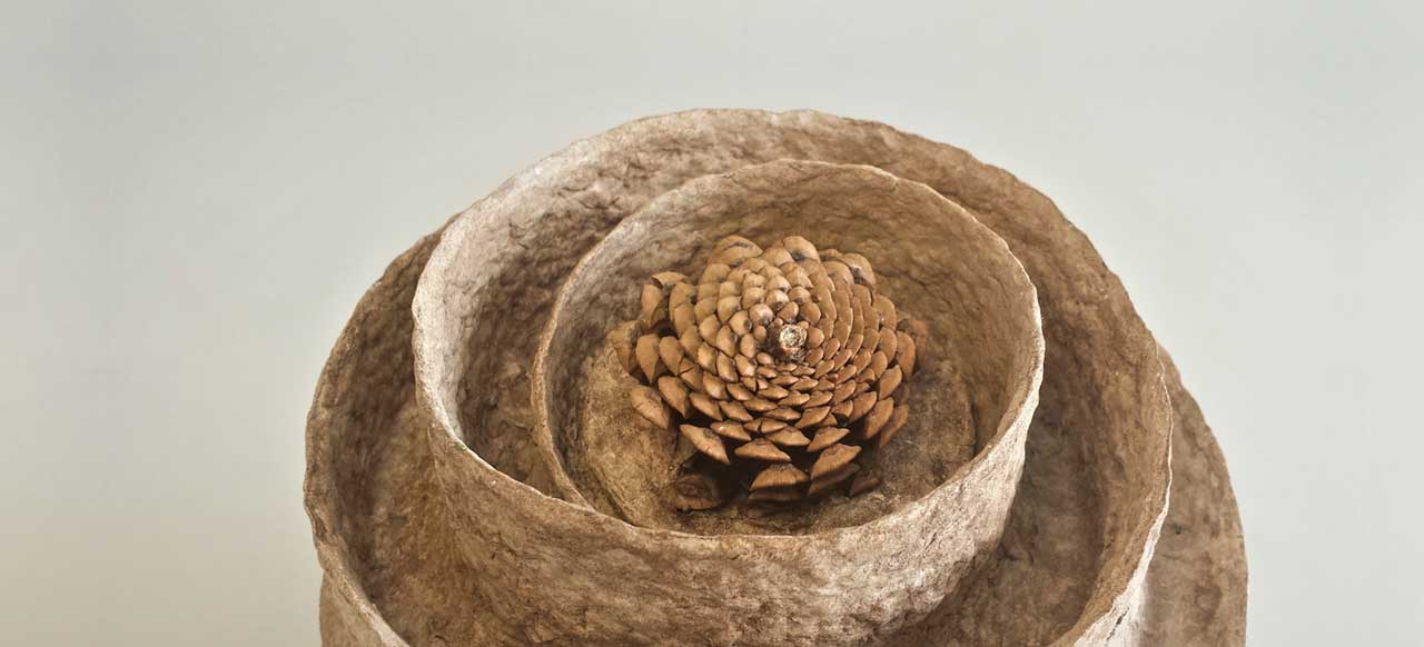 spirale-pin-urne-ecologique-banniere